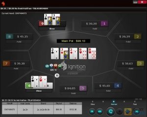 poker software for Bovada