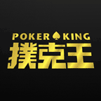 Poker Tracker for Poker King| Asian Hand Converter